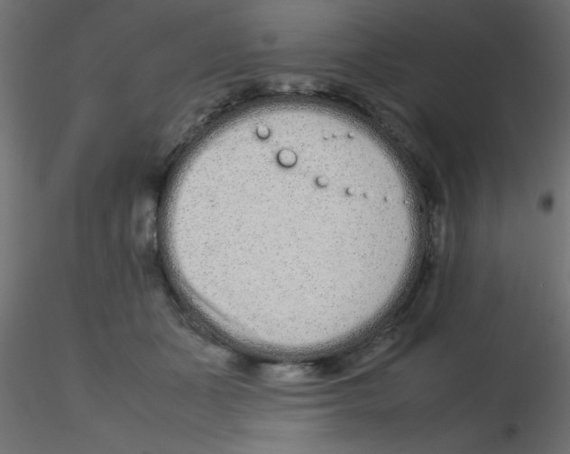 X0000116600511200912312100