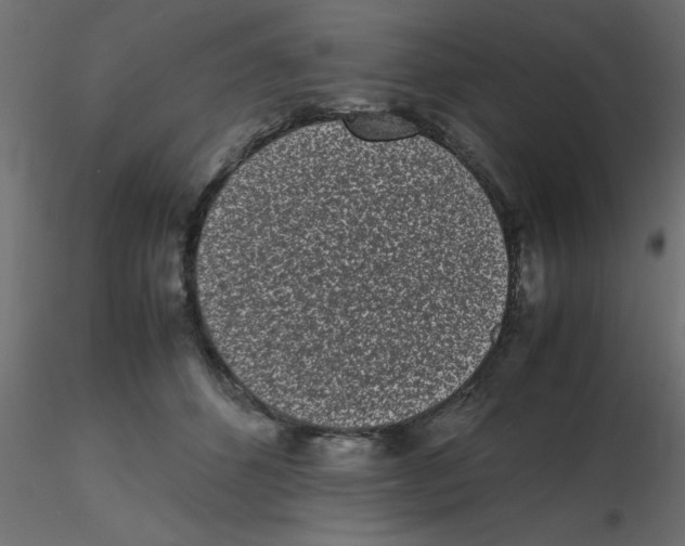 X0000116600512200912312100