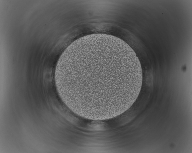 X0000116600514200912312100
