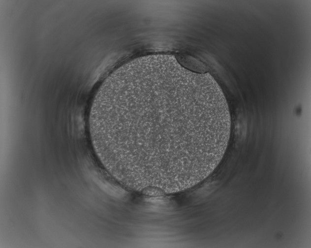 X0000116600516200912312100