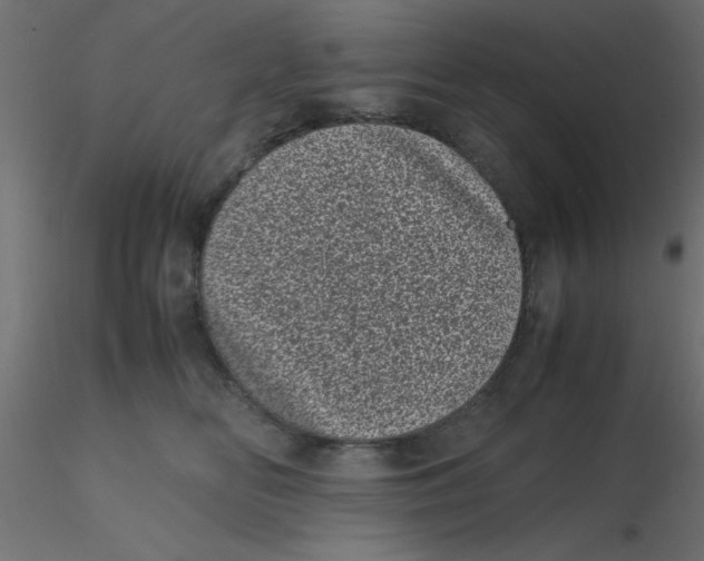 X0000116600518200912312100