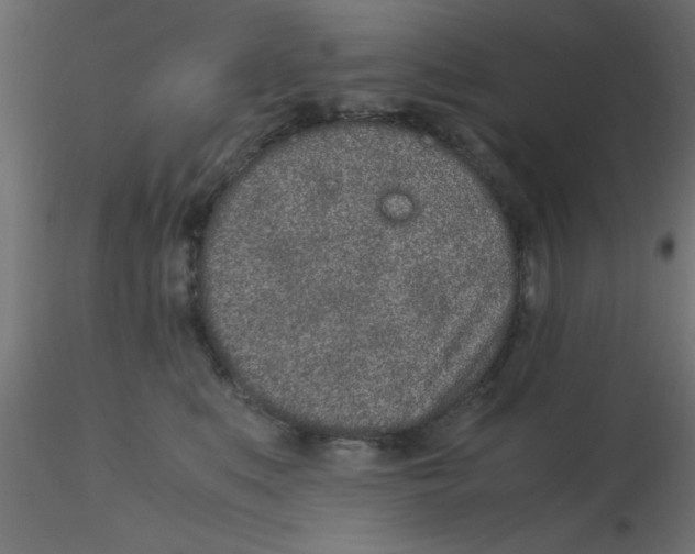 X0000116600519200912312059