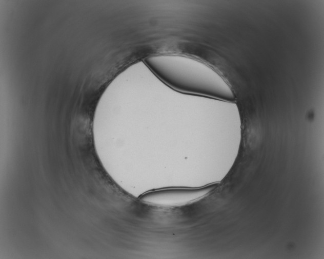 X0000116600521200912312059