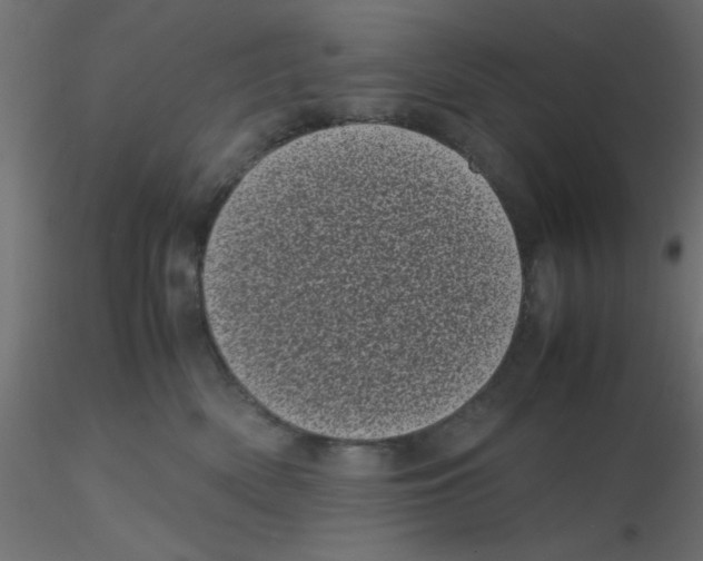 X0000116600522200912312059