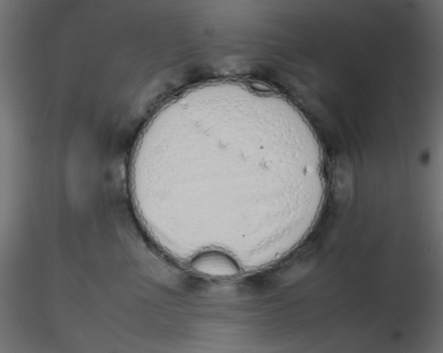 X0000116600523200912312059