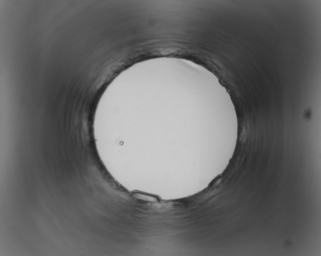 X0000116600524200912312059