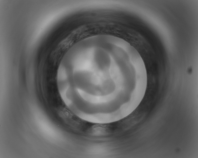 X0000116600526200912312059