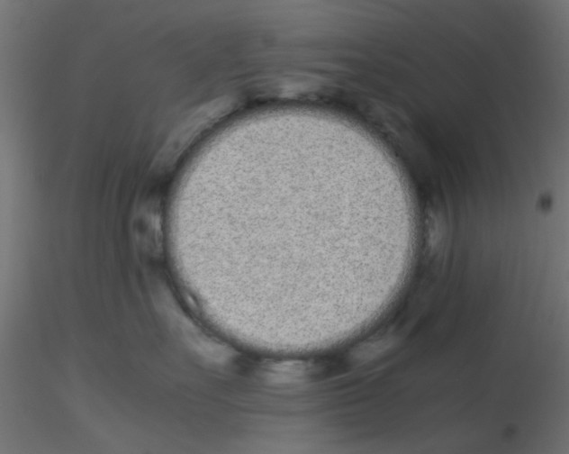 X0000116600527200912312059