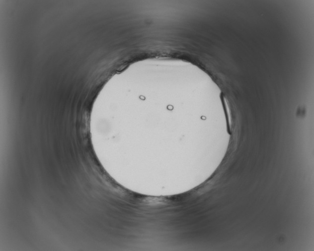 X0000116600528200912312059