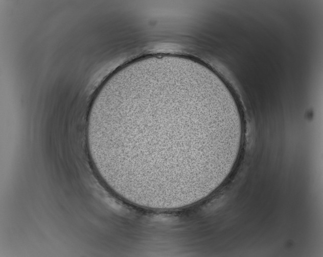 X0000116600529200912312059