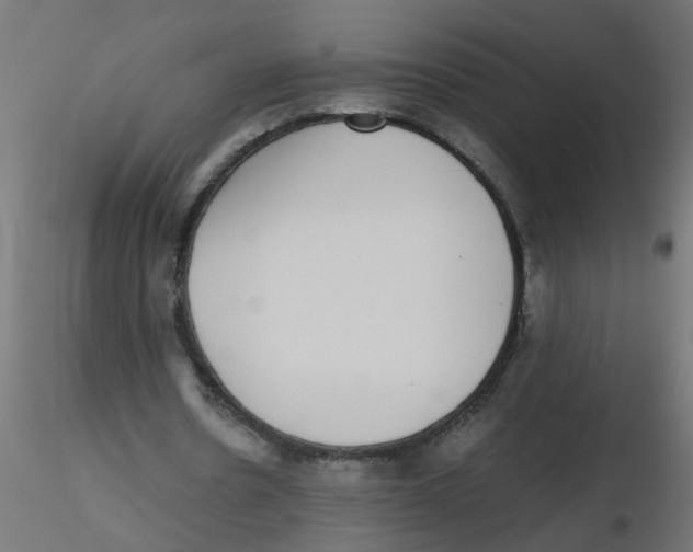 X0000116600530200912312059