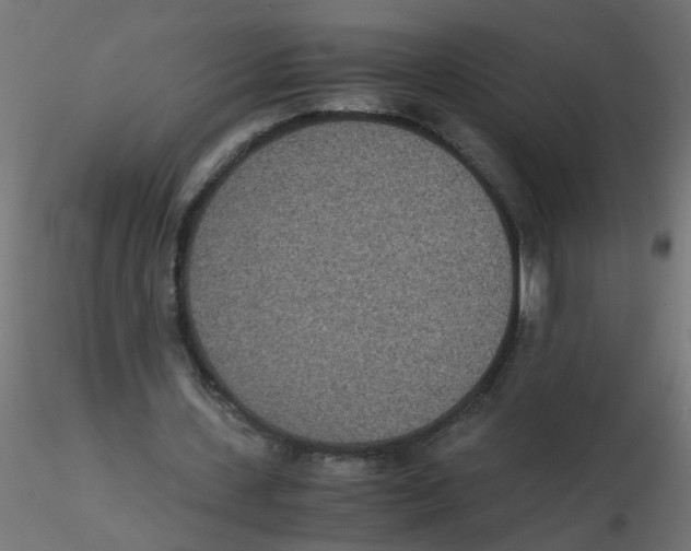 X0000116600531200912312059