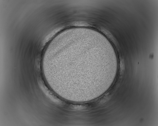 X0000116600533200912312059