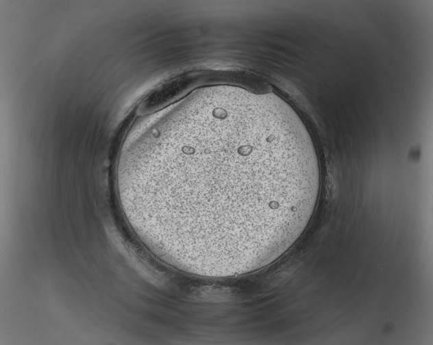 X0000116600535200912312059