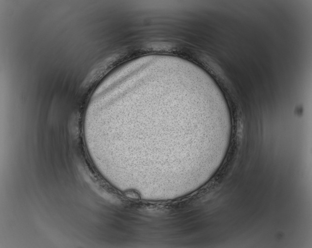 X0000116600537200912312059