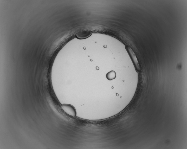 X0000116600538200912312059