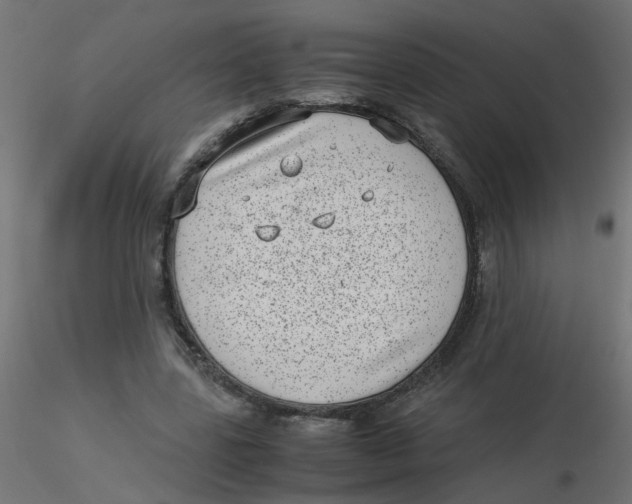 X0000116600539200912312059