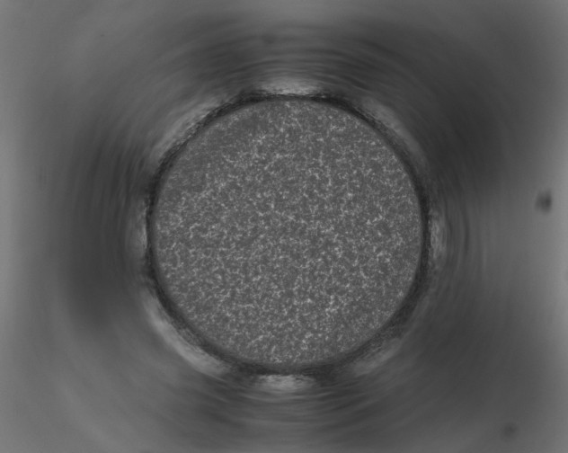 X0000116600541200912312059