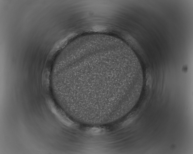 X0000116600542200912312059