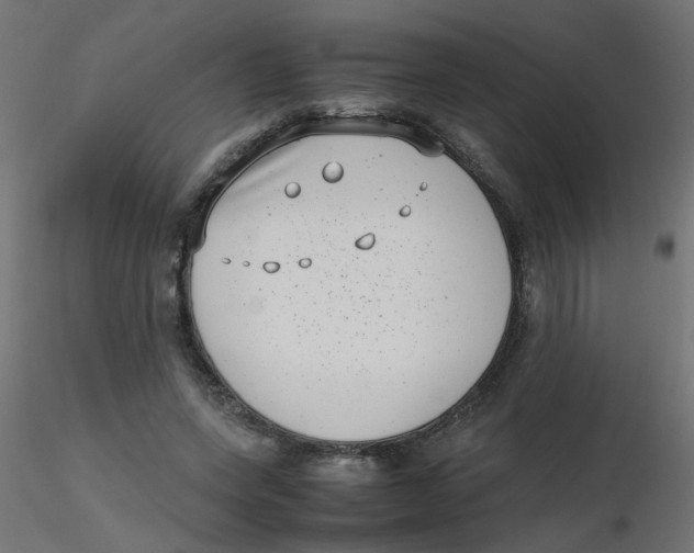 X0000116600543200912312059