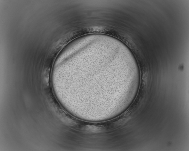 X0000116600545200912312059