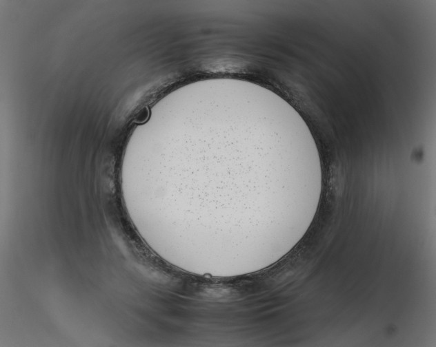 X0000116600547200912312059