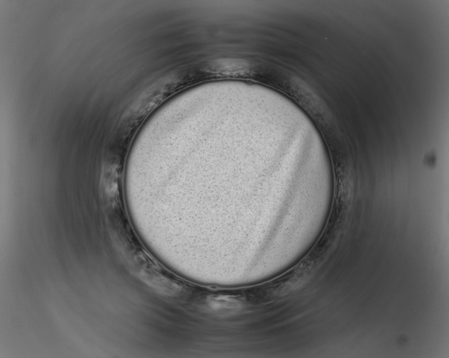 X0000116600549200912312059