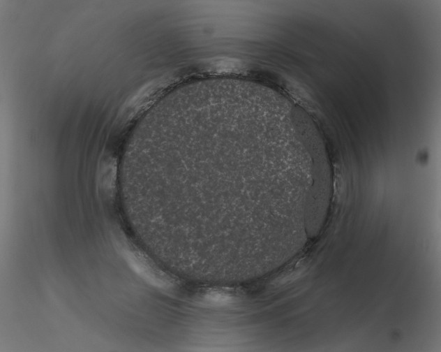 X0000116600550200912312059