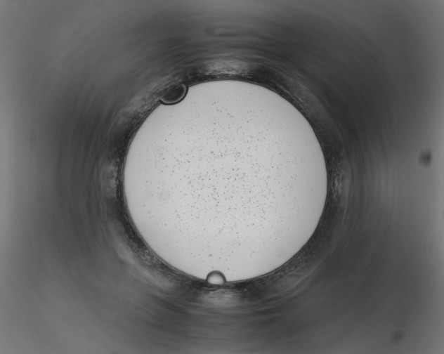 X0000116600551200912312059