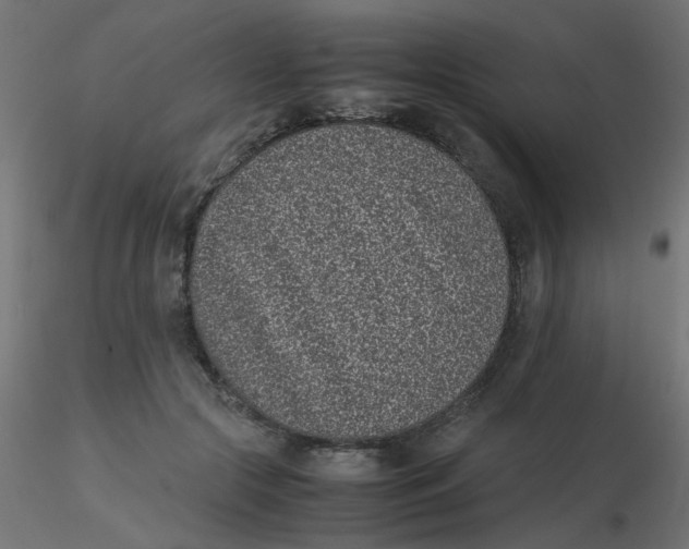 X0000116600553200912312059
