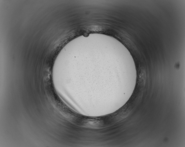 X0000116600555200912312059