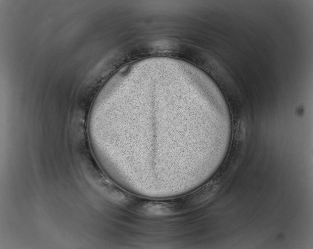 X0000116600557200912312059