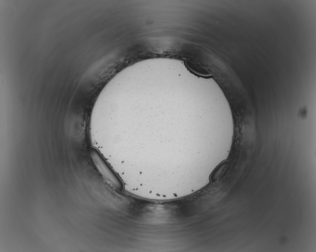 X0000116600558200912312059