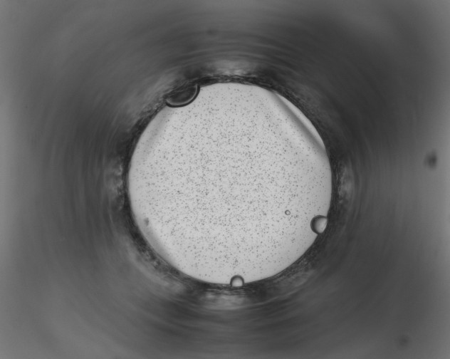 X0000116600559200912312059