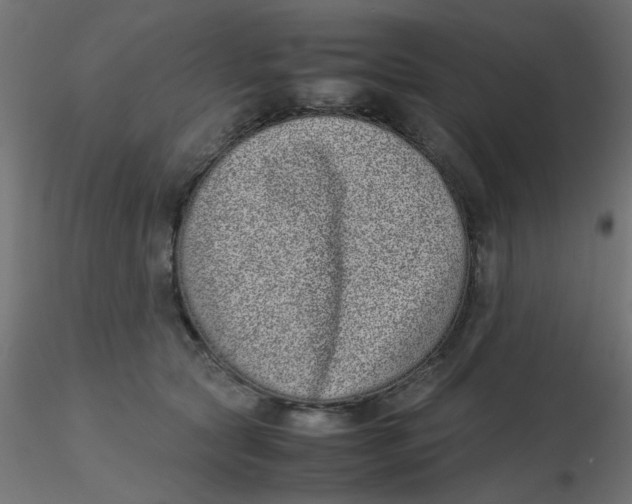 X0000116600561200912312059