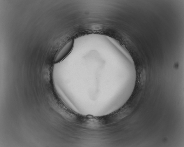 X0000116600562200912312059