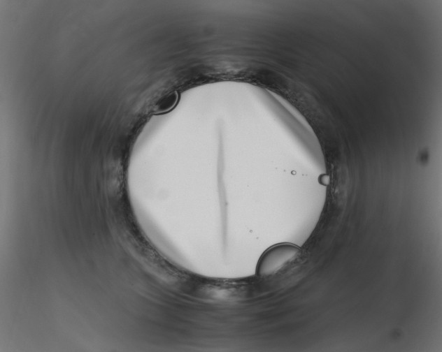 X0000116600563200912312059