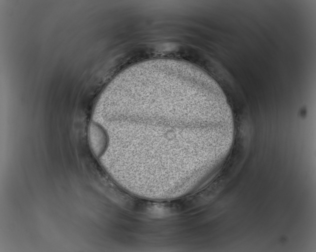 X0000116600565200912312059