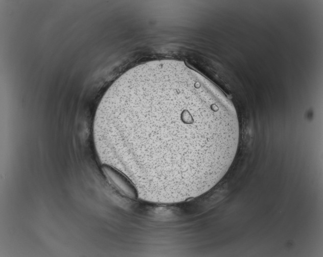 X0000116600566200912312059