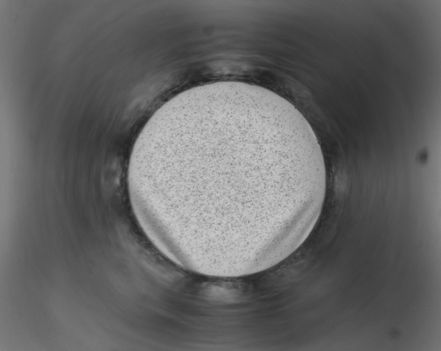 X0000116600567200912312059