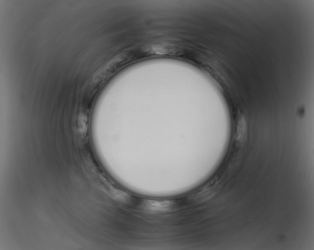 X0000116600569200912312059