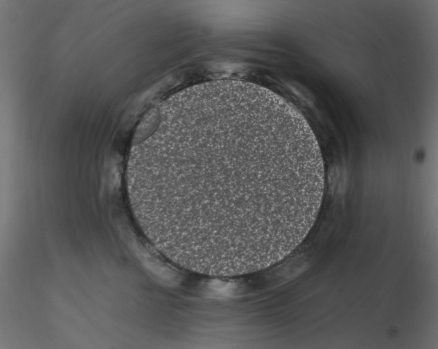 X0000116600570200912312059