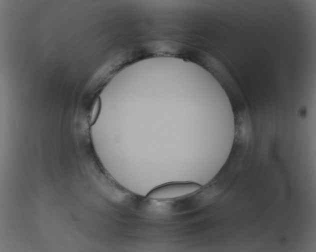 X0000116600573200912312059