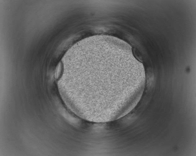 X0000116600574200912312059