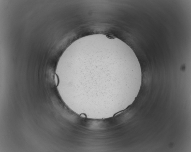 X0000116600575200912312059