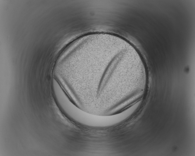 X0000116600577200912312059