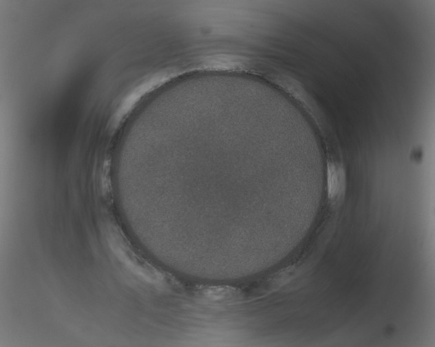 X0000116600579200912312059