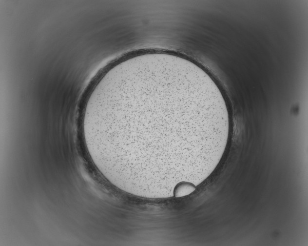 X0000116600580200912312059