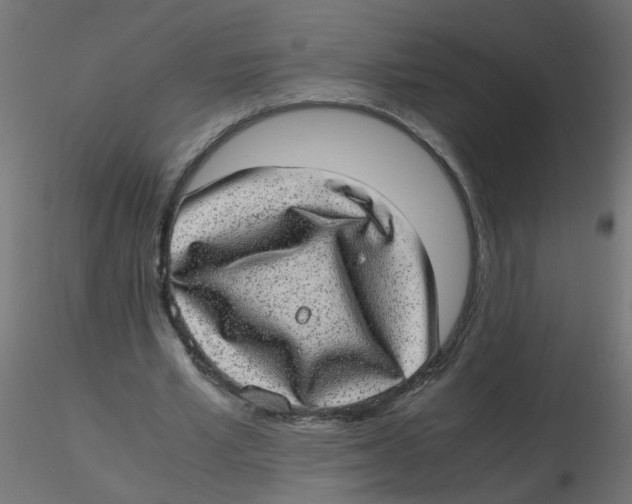 X0000116600581200912312059