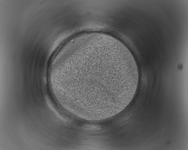 X0000116600582200912312059